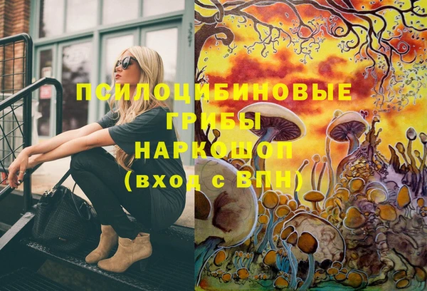 ешки Алзамай