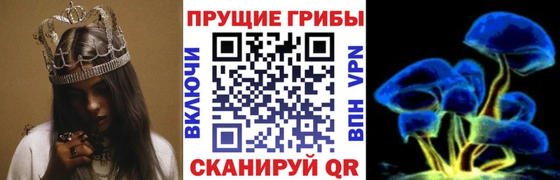 Галлюциногенные грибы MAGIC MUSHROOMS  Артёмовск 
